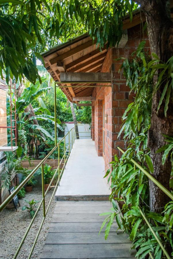 Hotel Pochote Mazunte Bagian luar foto
